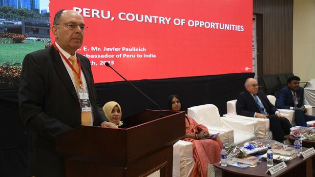 Perú en Export Summit en India