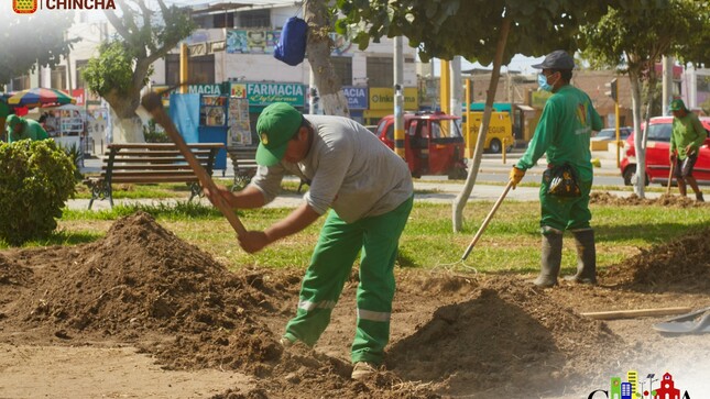 El personal obrero municipal de la unidad de parques y jardines, sin los que realizan el tratamiento y fortalecimiento del suelo, colocando nueva tierra agraria, yeso agrícola y  compost, para luego realizar el sembrado de grass en toda su extensión del lugar a intervenir, además de plantas ornamentales, entre otros.