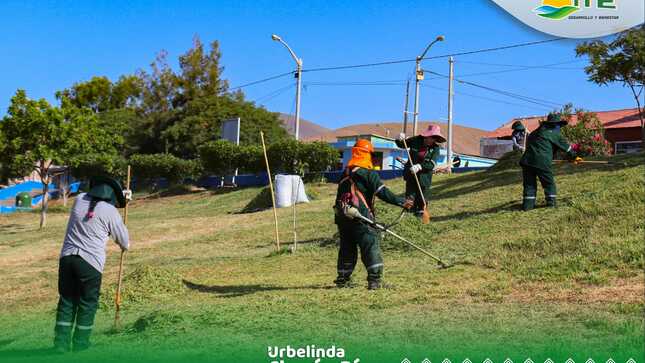 #𝗠𝗮𝗻𝘁𝗲𝗻𝗶𝗺𝗶𝗲𝗻𝘁𝗼 🔰 Con la finalidad de mantener los ornatos del distrito limpios y cuidar las áreas verdes brindando sostenimiento al medio ambiente.