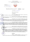 Vista preliminar de documento Resolución Directoral. Nº 0931 