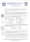 Vista preliminar de documento Resolución de Gerencia N° 0017-2021