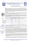 Vista preliminar de documento Resolución de Gerencia N° 0012-2021