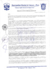 Vista preliminar de documento Resolución de Gerencia N° 0020-2021
