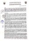 Vista preliminar de documento Resolución de Gerencia N° 0206-2021