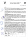 Vista preliminar de documento Resolución de Gerencia N° 0295-2021