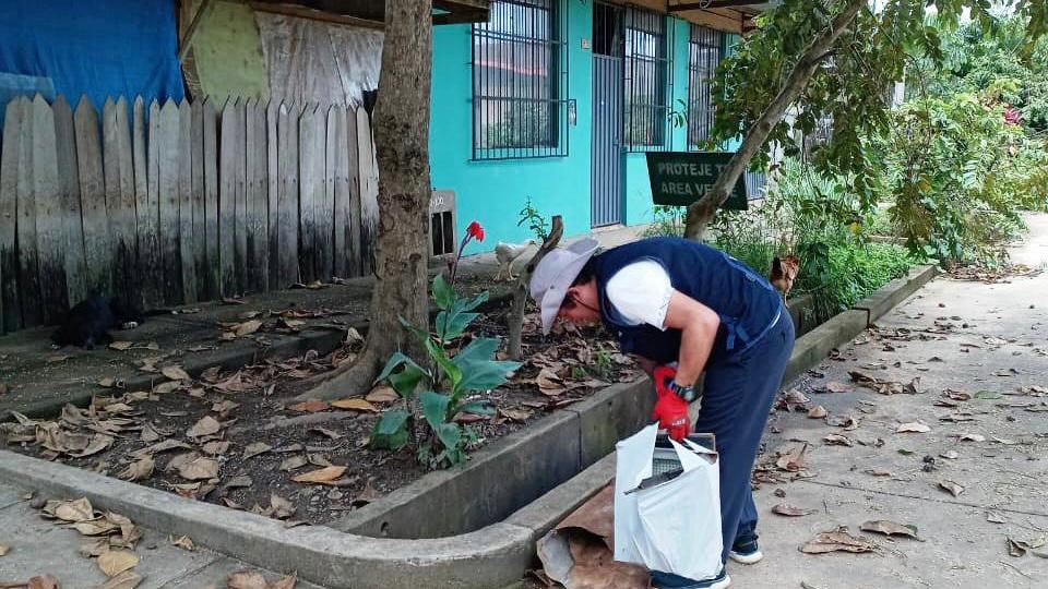 Madre de Dios: más de 100 toneladas de criaderos del zancudo fueron eliminados