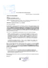 Vista preliminar de documento ORDENANZA MUNICIPAL 175-2021-MDSRDS.pdf