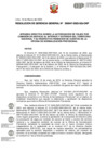Vista preliminar de documento RGG47 Y DIRECTIVA.pdf