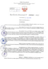 Vista preliminar de documento Resolución Directoral. Nº 0957 