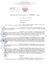 Vista preliminar de documento Resolución Directoral. Nº 0966 