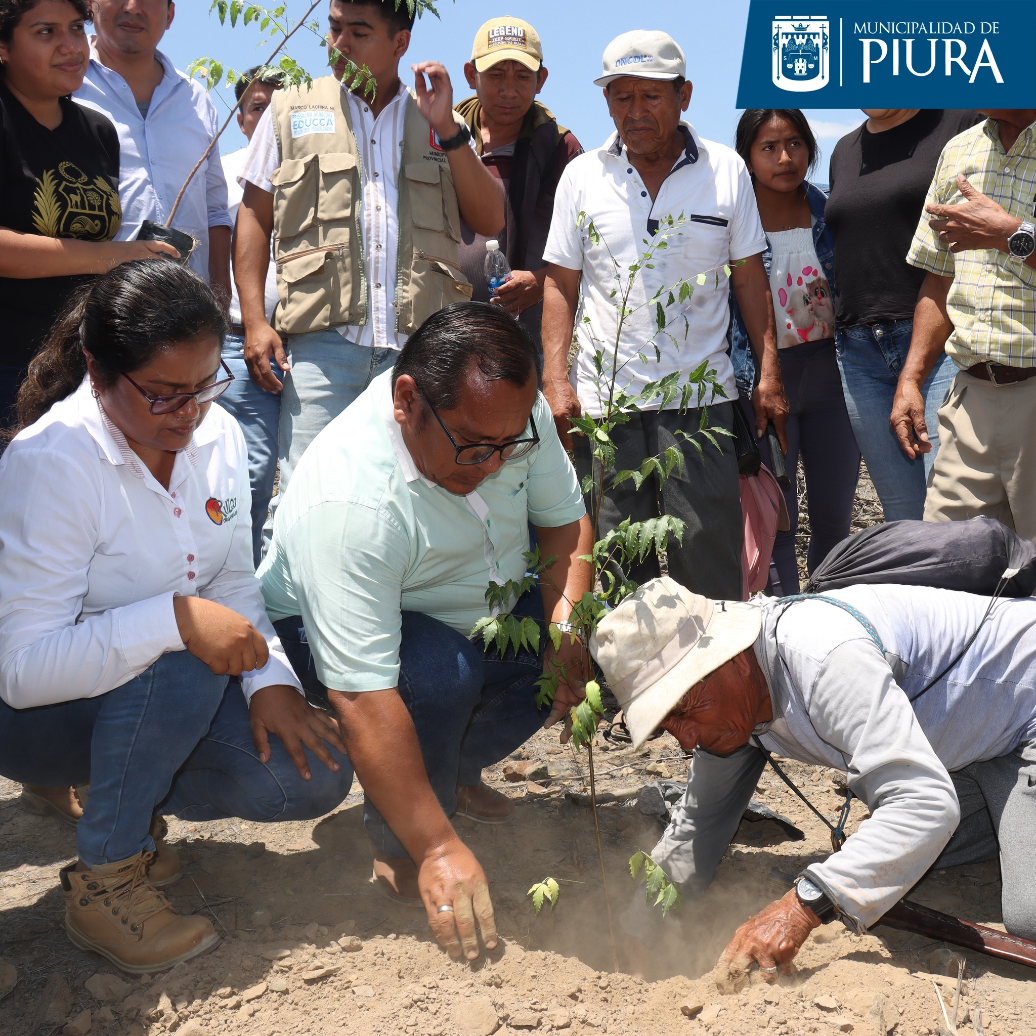 La Municipalidad impulsa la reforestación en toda la provincia