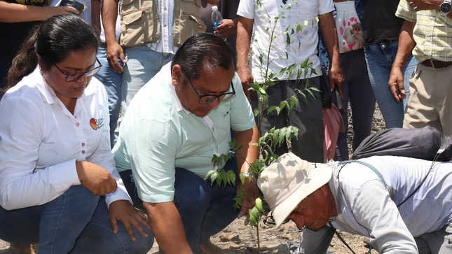 La Municipalidad impulsa la reforestación en toda la provincia