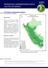 Vista preliminar de documento quinua_monitoreo_1mar23.pdf