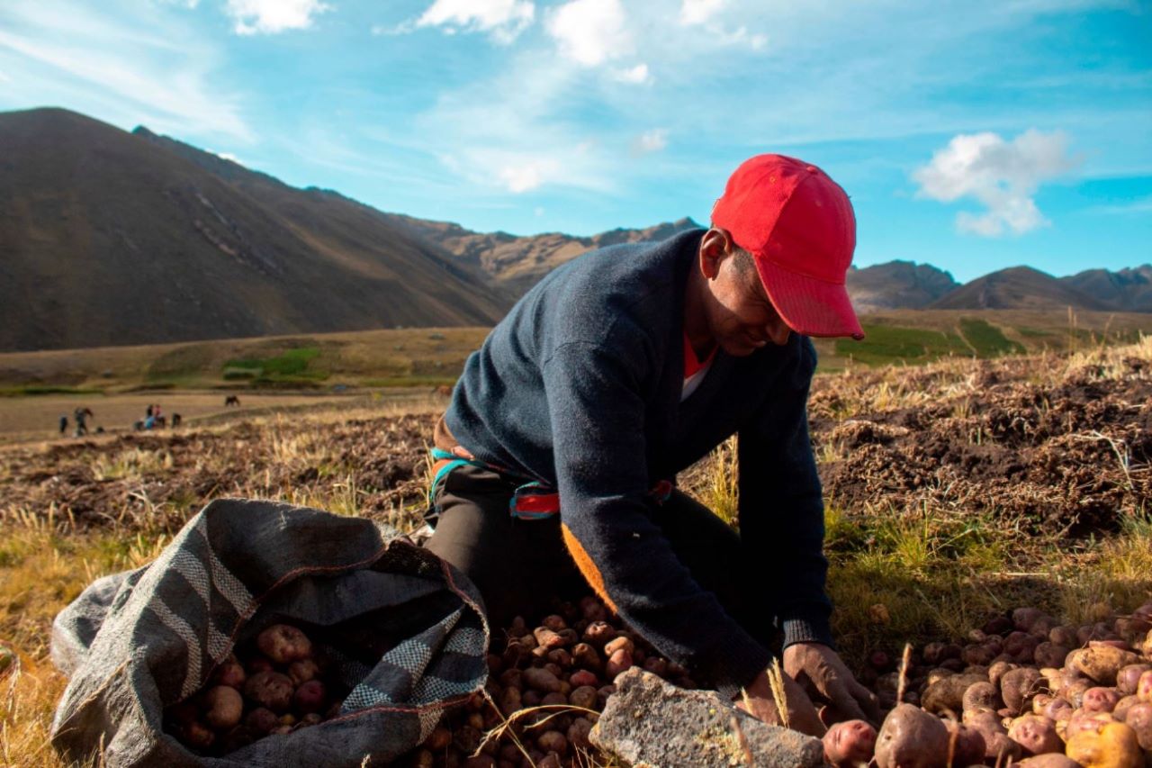 Agro Rural