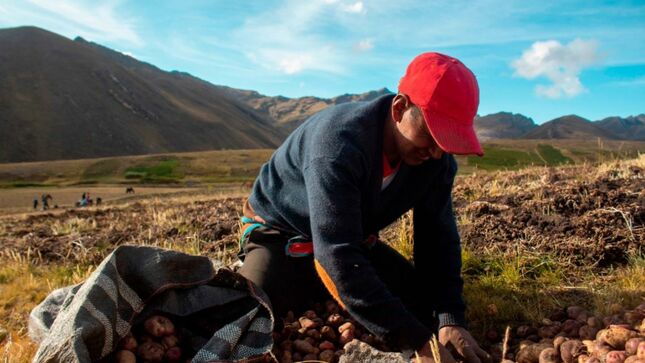 Agro Rural