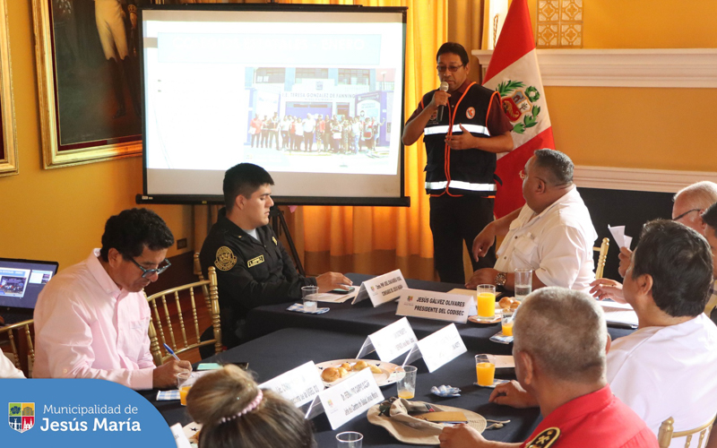 Comité de seguridad Ciudadana