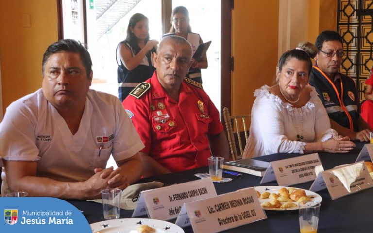 Comité de seguridad Ciudadana