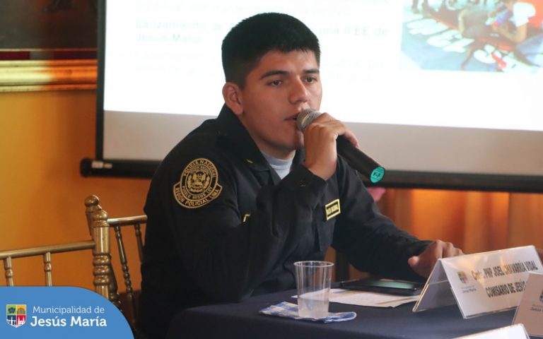 Comité de seguridad Ciudadana