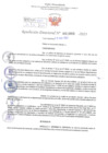 Vista preliminar de documento Resolución Directoral. Nº 1005 