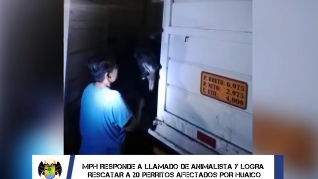 MPH responde a llamado de animalista y logra rescatar a 20 perritos afectados por huaico