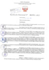 Vista preliminar de documento Resolución Directoral. Nº 1011 