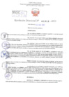 Vista preliminar de documento Resolución Directoral. Nº 1019