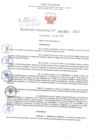Vista preliminar de documento Resolución Directoral. Nº 1021