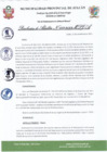 Vista preliminar de documento R.A. 233-2022.pdf