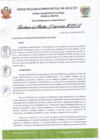 Vista preliminar de documento R.A. 223-2022.pdf