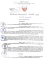 Vista preliminar de documento Resolución Directoral. Nº 1028 