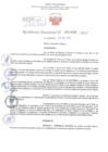 Vista preliminar de documento Resolución Directoral. Nº 1033 