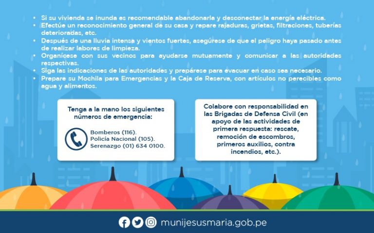 Cartilla De Seguridad