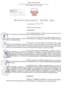 Vista preliminar de documento Resolución Directoral. Nº 1035 
