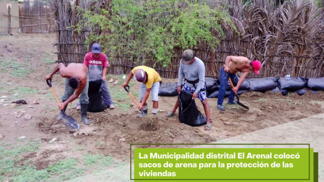 Fotos de los trabajadores llenando sacos de arena. 