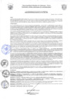 Vista preliminar de documento Directiva N° 0002-2021