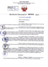 Vista preliminar de documento Resolución Directoral. Nº 1043