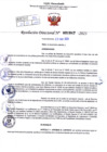 Vista preliminar de documento Resolución Directoral. Nº 1047 