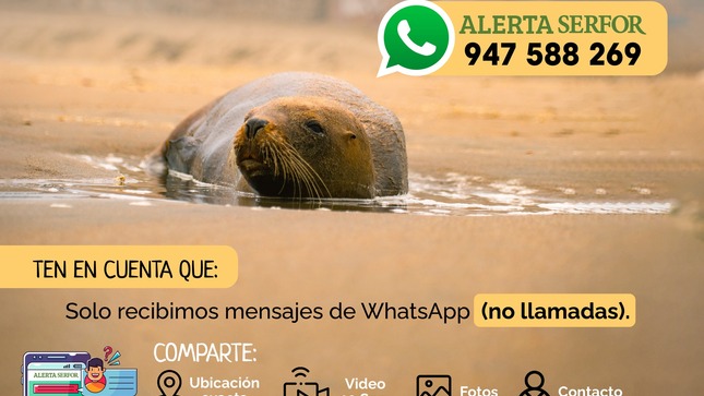 afiche 