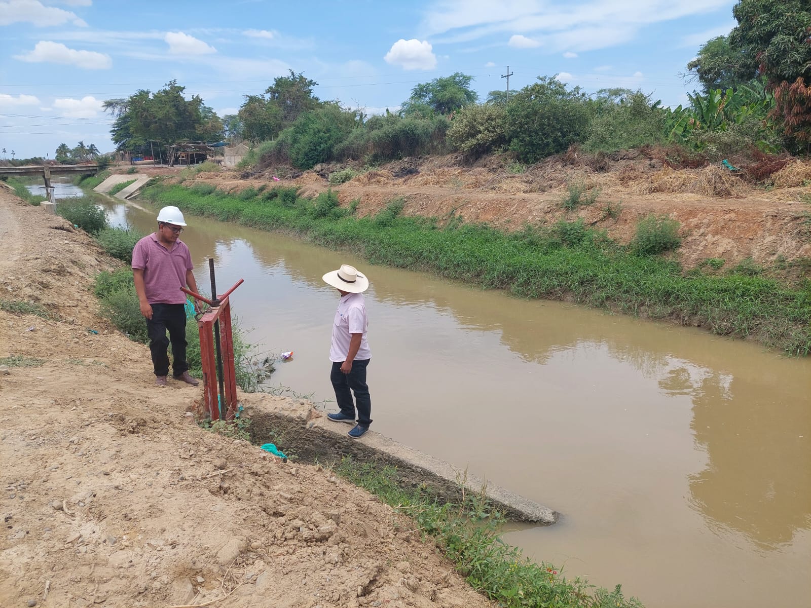 OBRA CANAL MDM