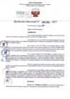 Vista preliminar de documento Resolución Directoral. Nº 1101 - 2023 