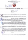 Vista preliminar de documento Resolución Directoral. Nº 1102 - 2023 