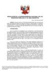 Vista preliminar de documento Resolución de la Superintendencia Nacional de los Registros Públicos N° 031-2023-SUNARP/SN