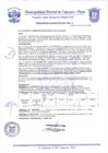 Vista preliminar de documento Resolución de Alcaldía N° 0043-2020