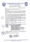 Vista preliminar de documento Resolución de Alcaldía N° 0042-2020