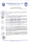 Vista preliminar de documento Resolución de Alcaldía N° 0208-2020