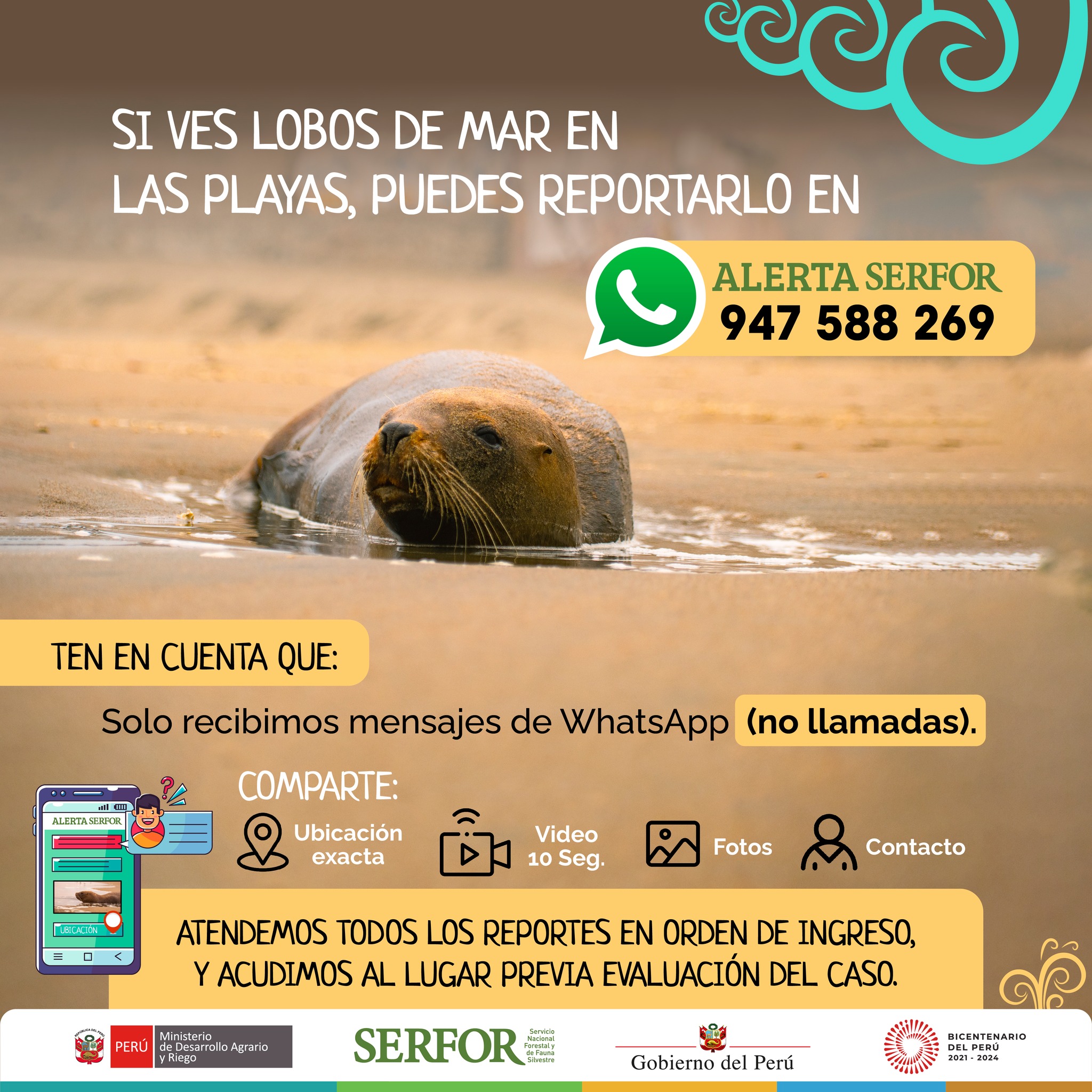 salvaplayas
