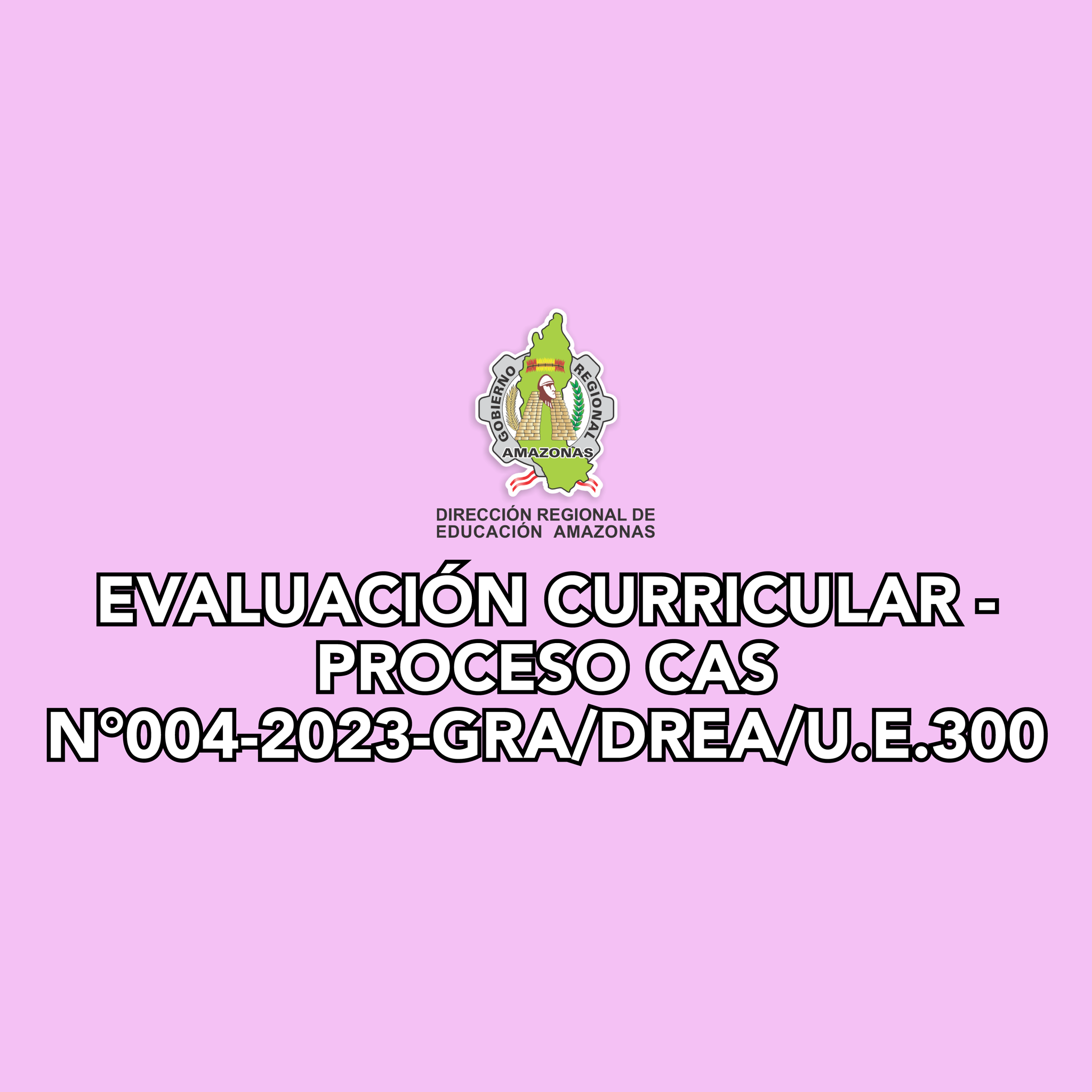 EVALUACIÓN CURRICULAR - PROCESO CAS N°004-2023-GRA/DREA/U.E.300.