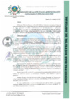 Vista preliminar de documento ROAF_004_2023_MDI.pdf