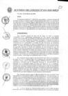 Vista preliminar de documento Acuerdo de Concejo N° 010-2020-MPCP
