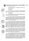 Vista preliminar de documento Ordenanza Municipal N° 016-2020-MPCP